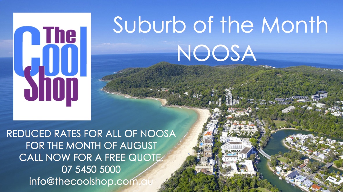 Noosa Flyer