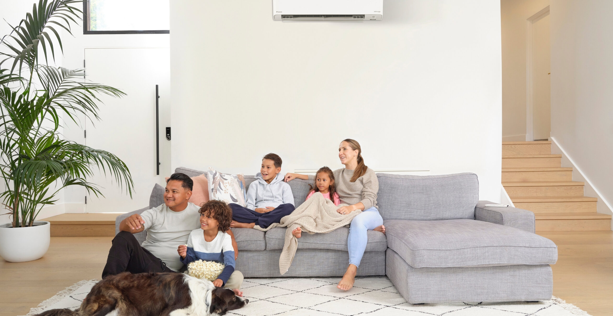 Family lounging with dog under Daikin air conditioning cooling on the Sunshine Coast